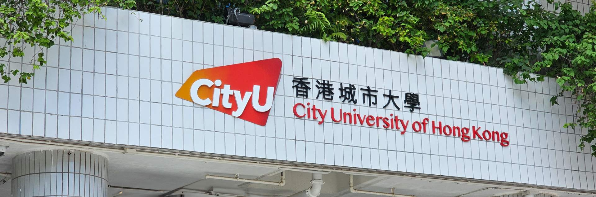 College of Engineering City University of Hong Kong