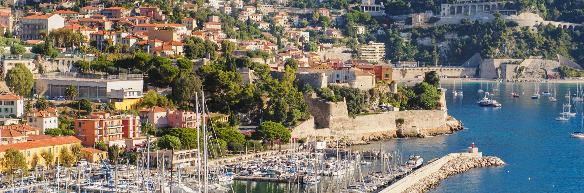 International University of Monaco
