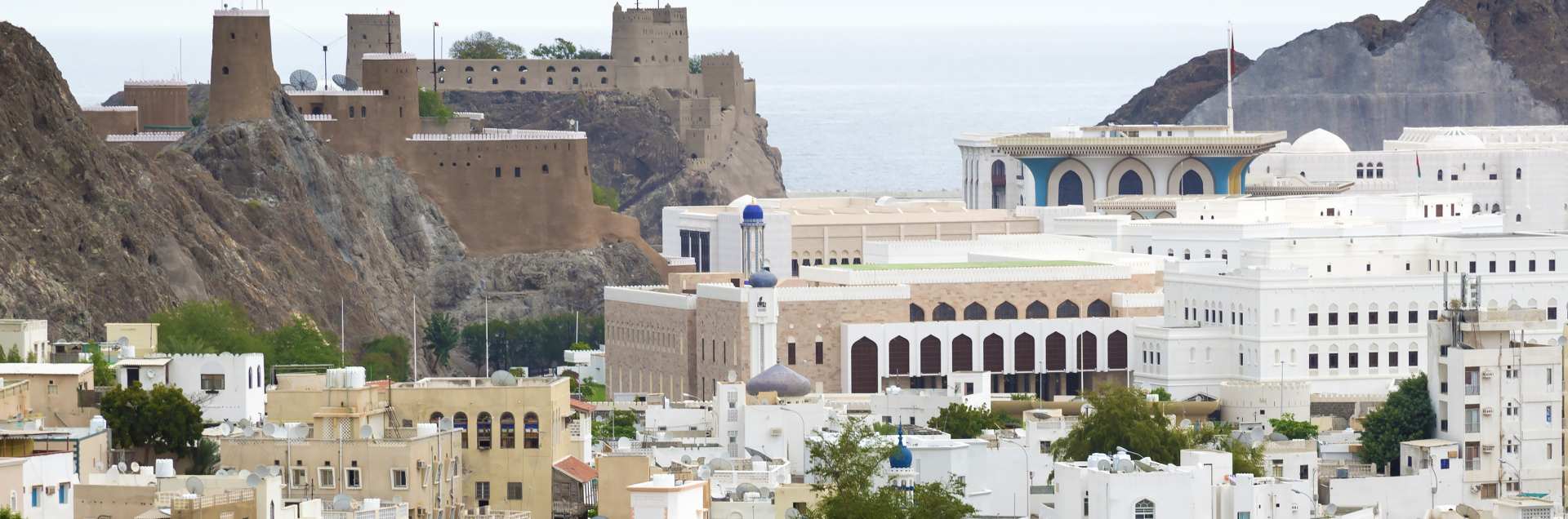 Sur University College