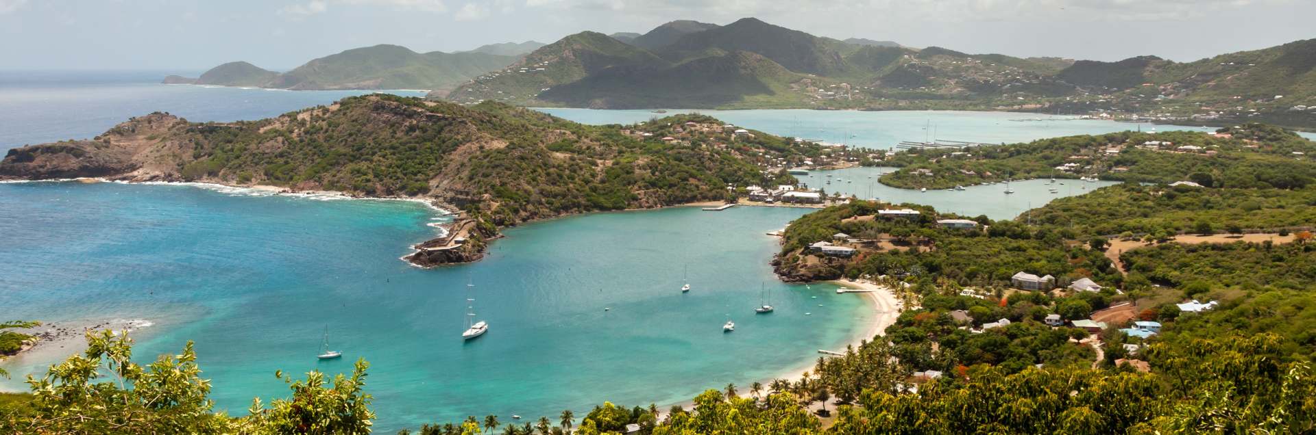 American University of Antigua