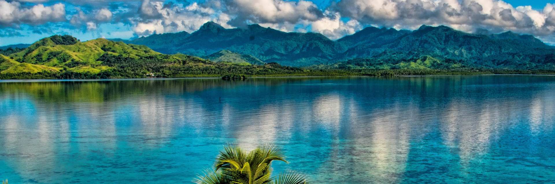 University of Fiji