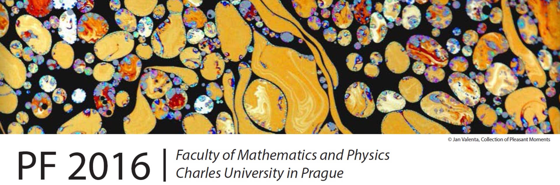 Charles University Faculty of Mathematics and Physics