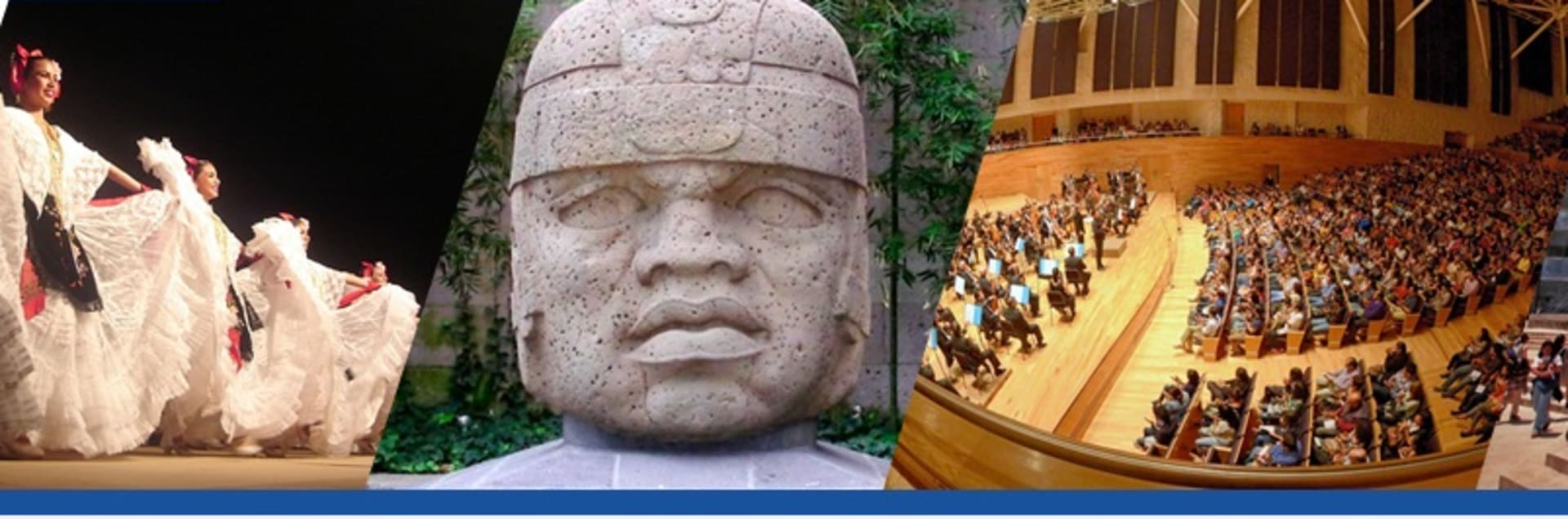 University of Veracruz - Universidad Veracruzana