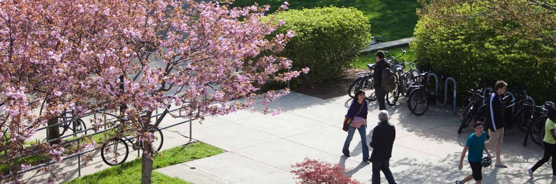 International Programs at Tufts University