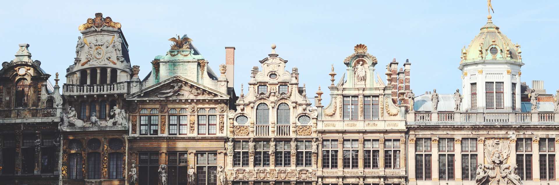 The Institute for European Studies