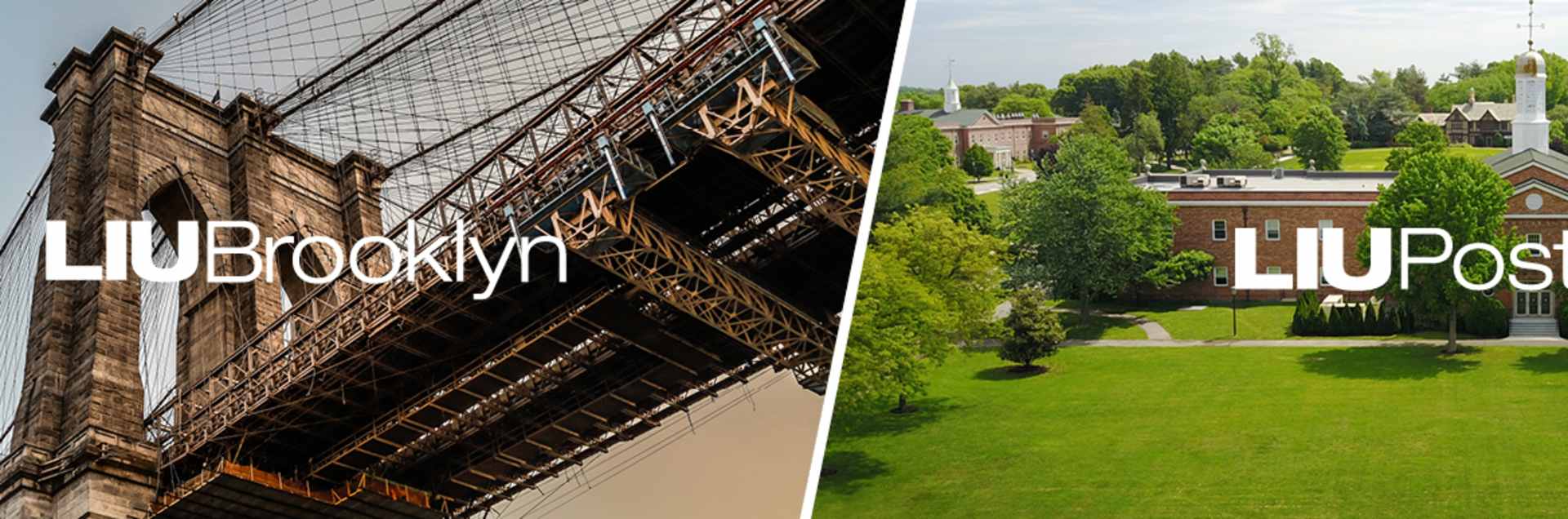 Long Island University