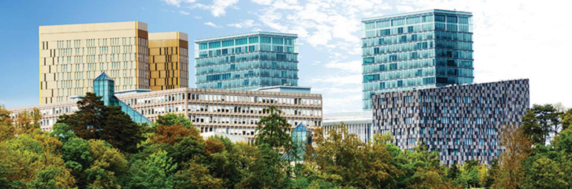 University of Luxembourg, Faculty of Law, Economics and Finance