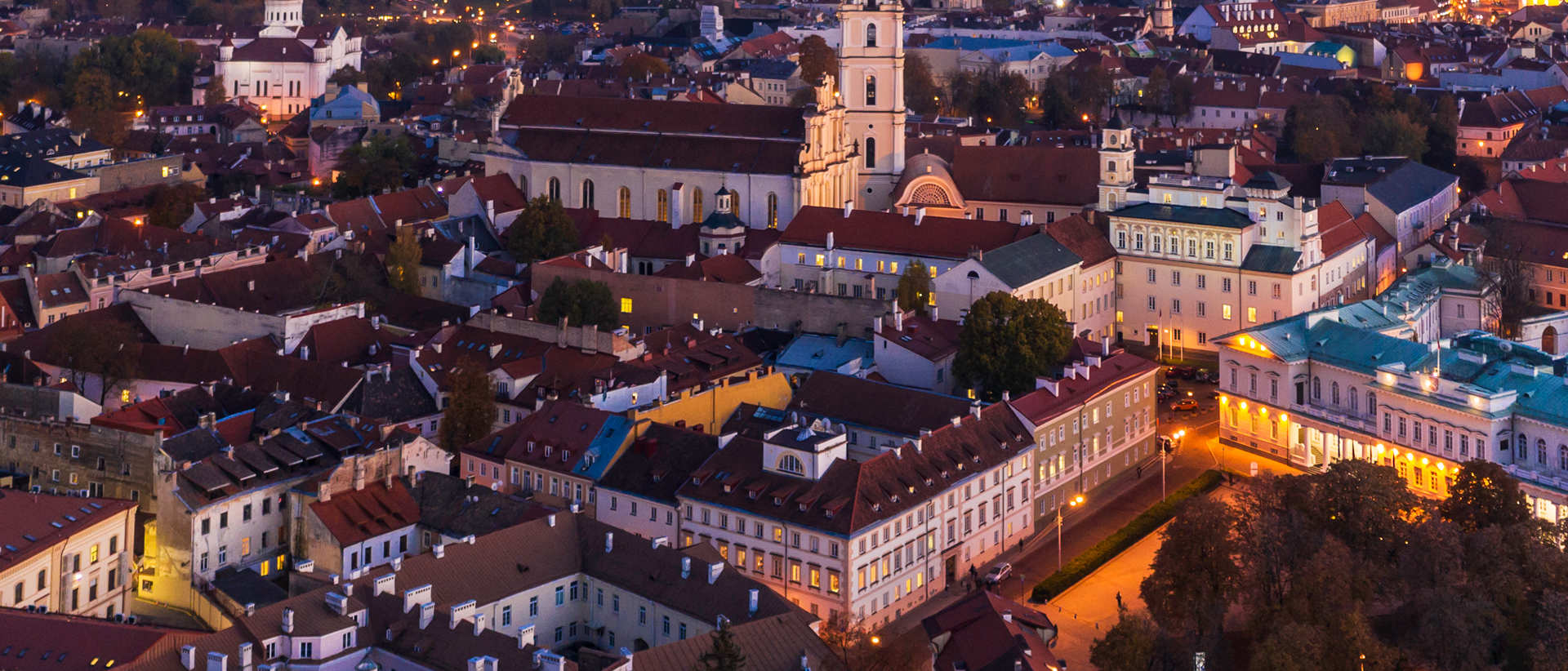 Vilnius University
