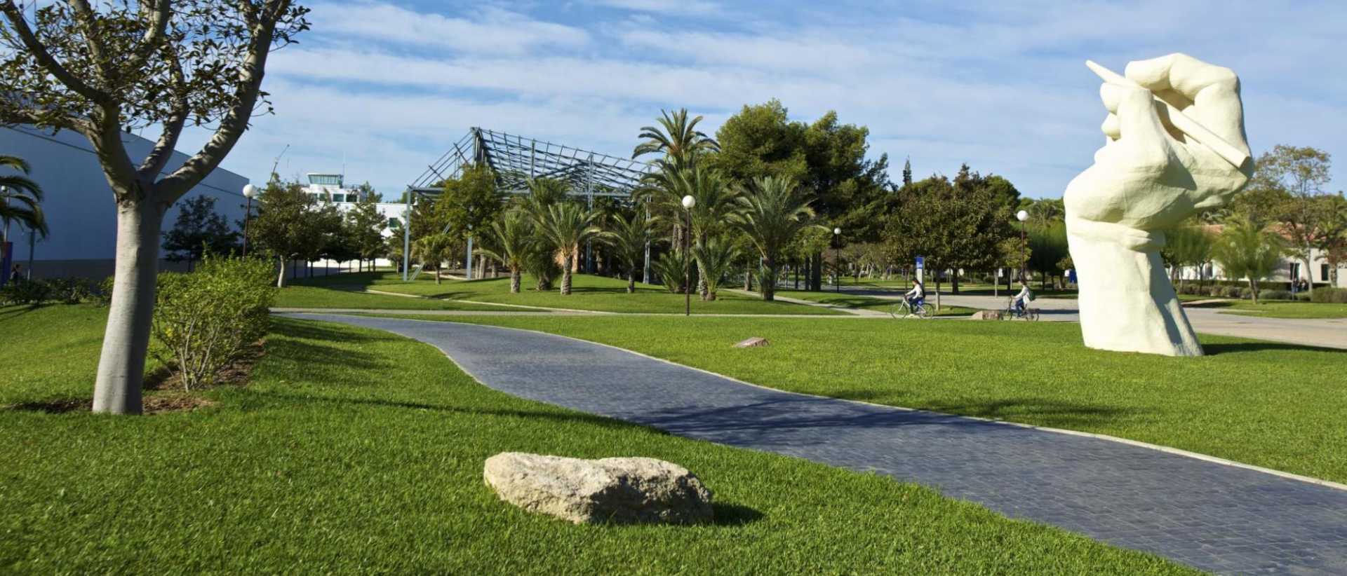 Universidad de Alicante