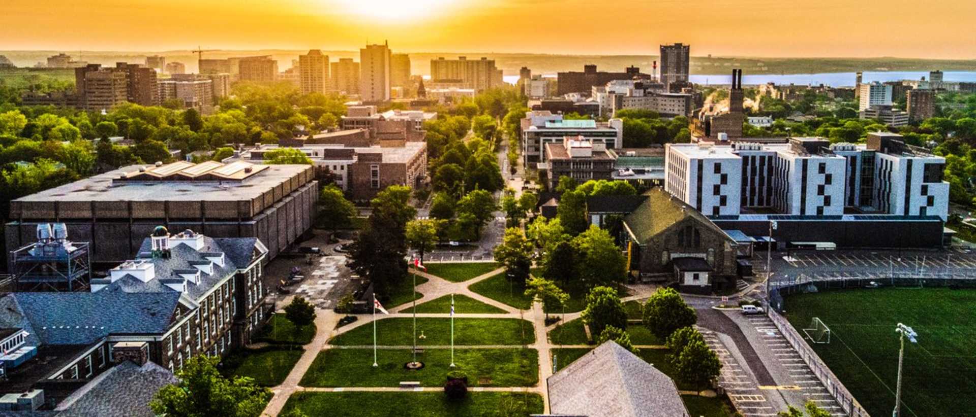Dalhousie University