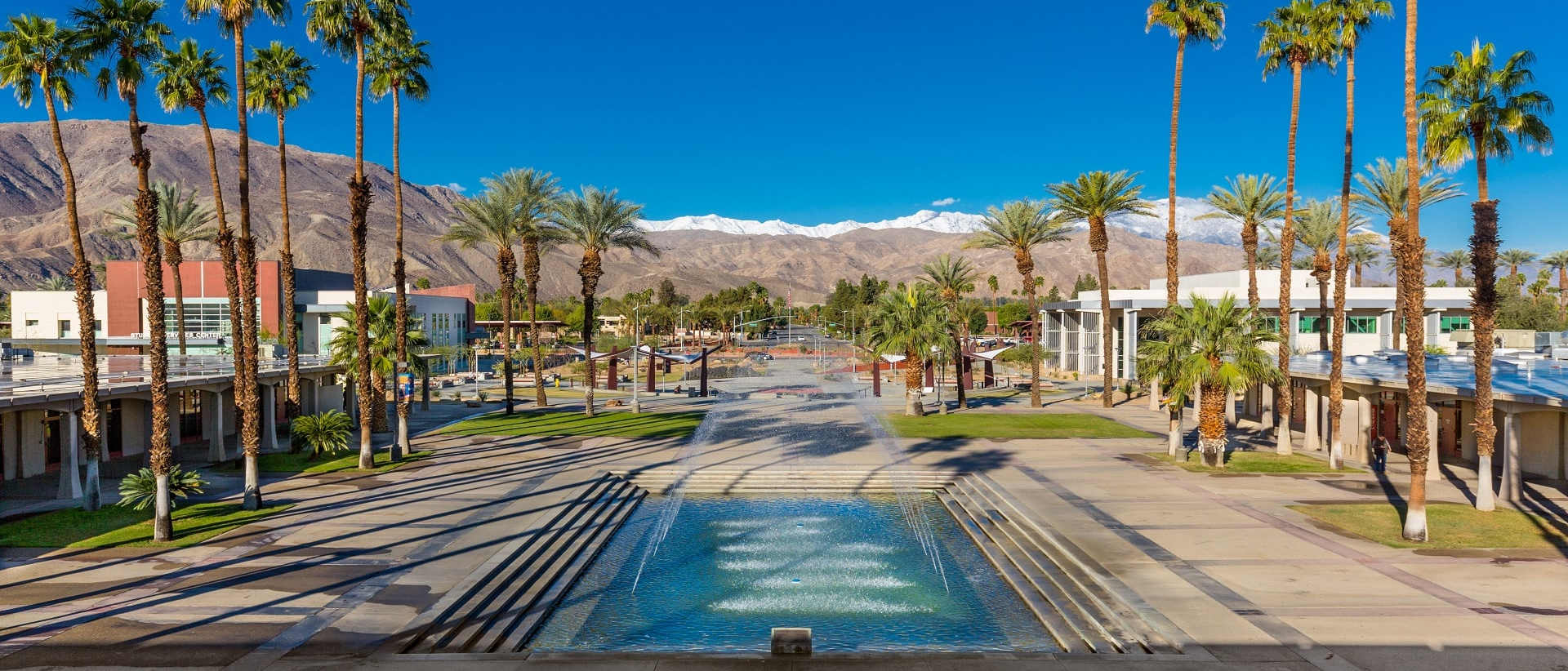 College of the Desert