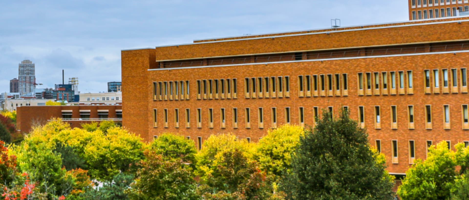 University of Minnesota – Carlson School of Management