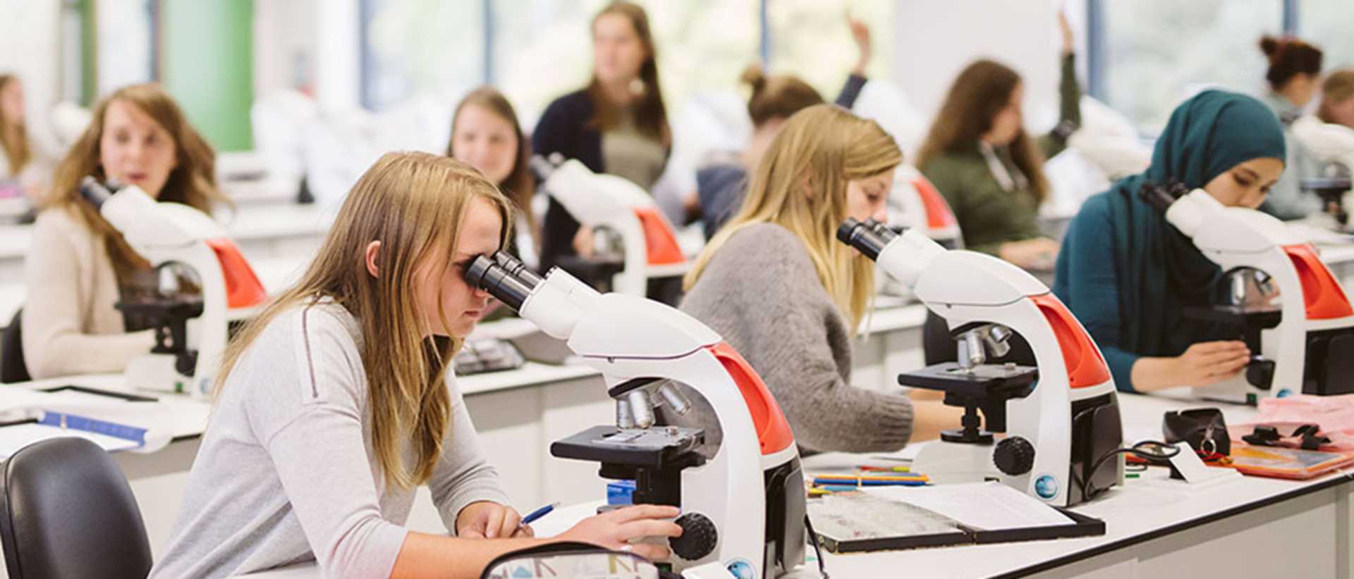 University of Antwerp