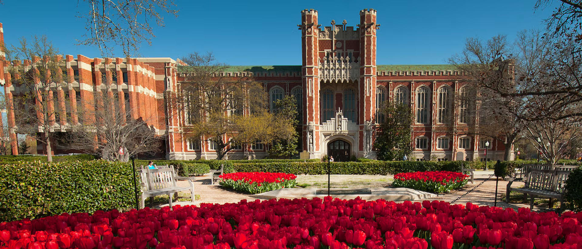 University of Oklahoma Online