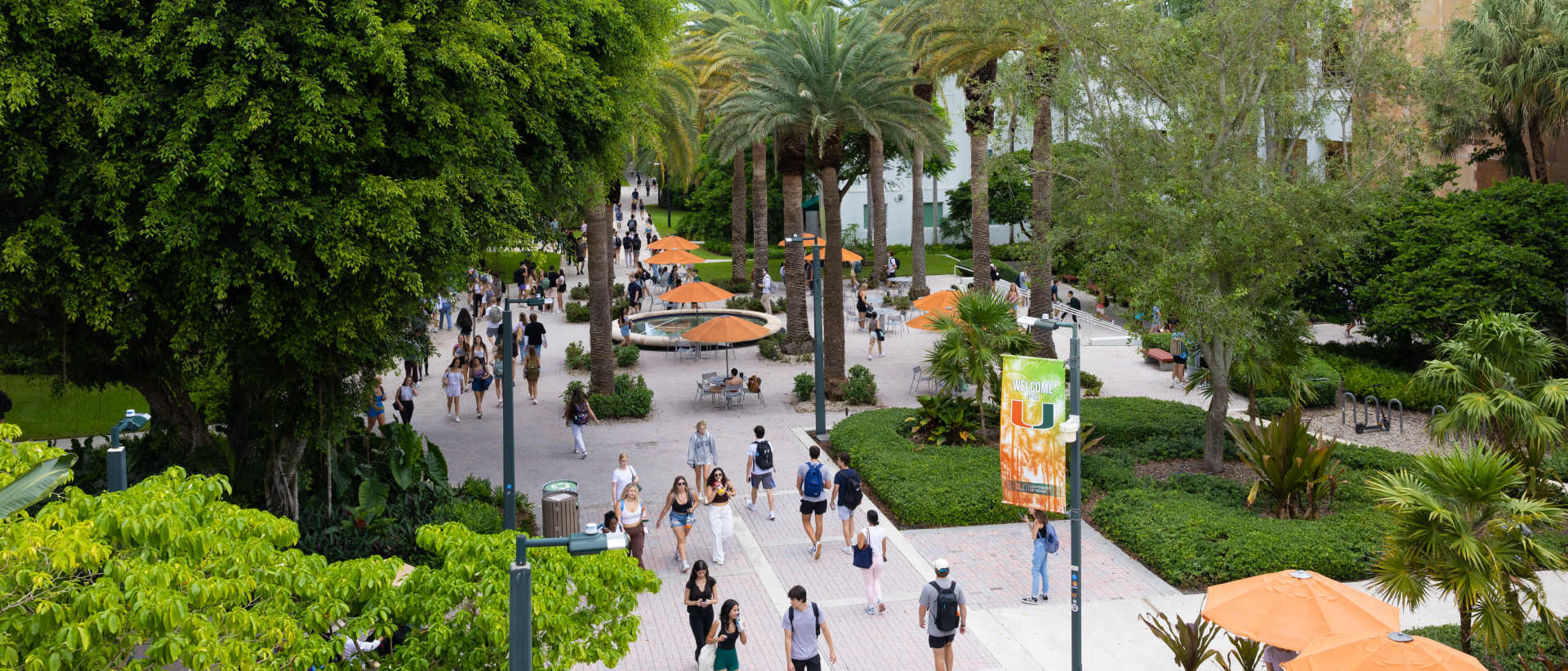 University of Miami 