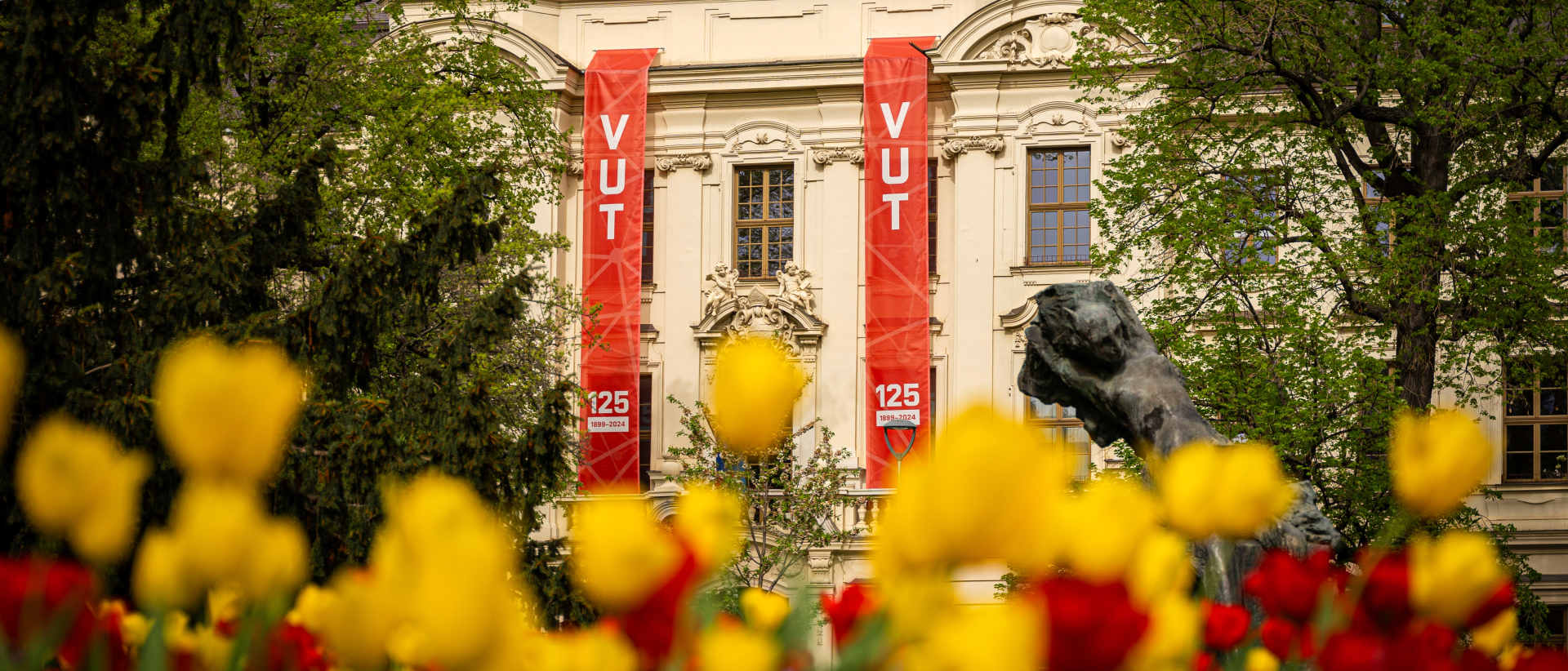 Brno University of Technology