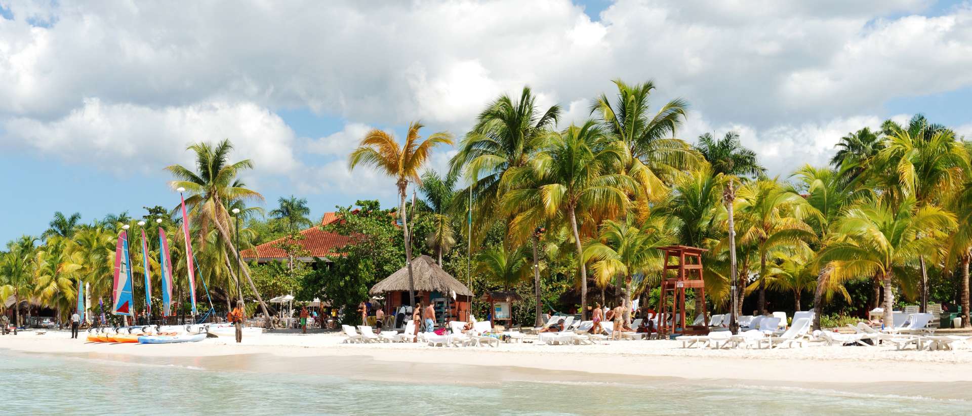 International University of the Caribbean