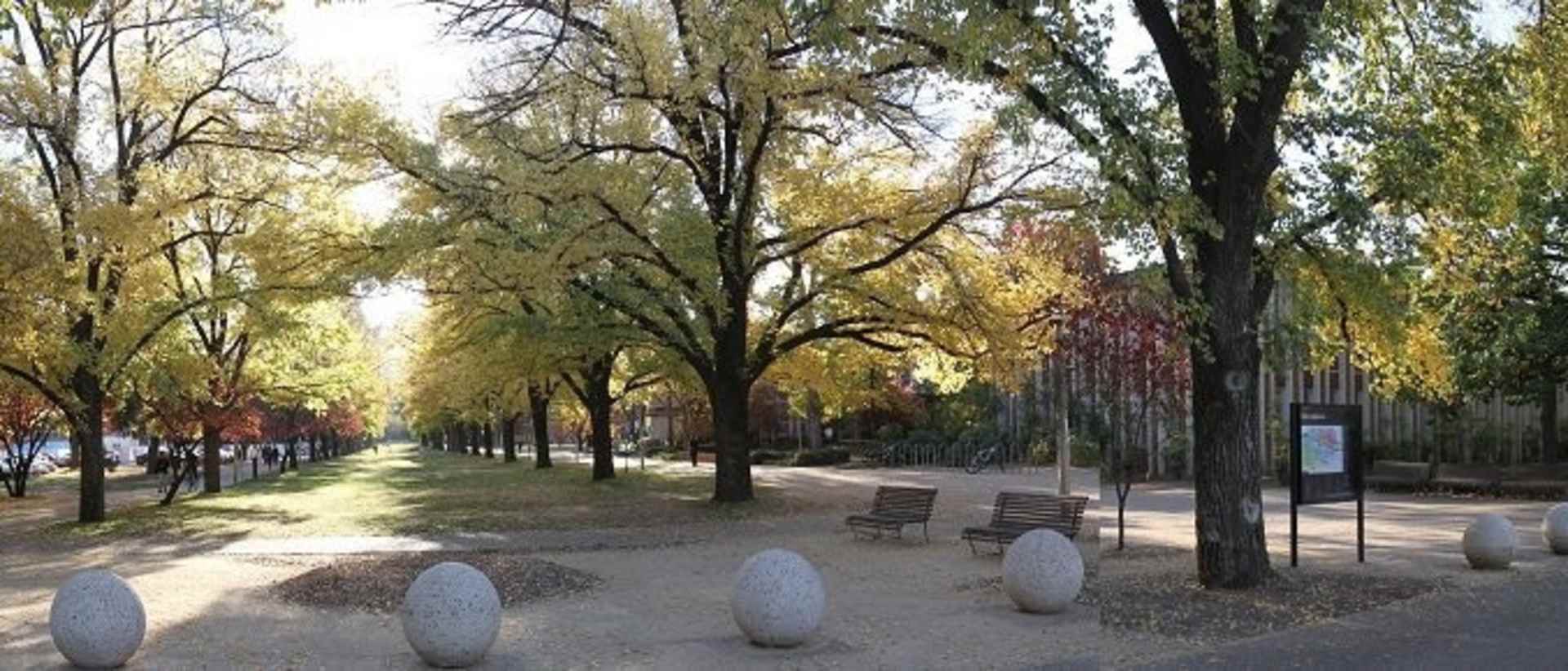 Australian National University