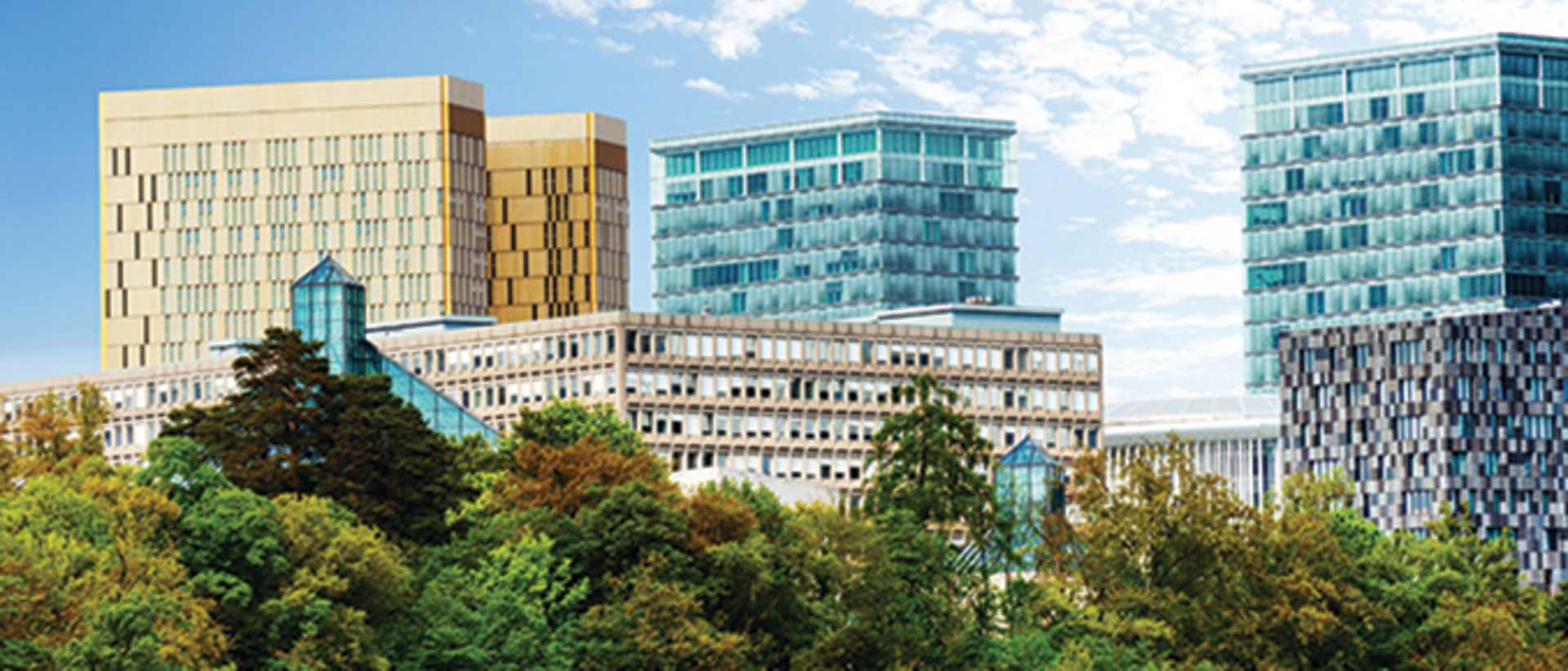 University of Luxembourg, Faculty of Law, Economics and Finance