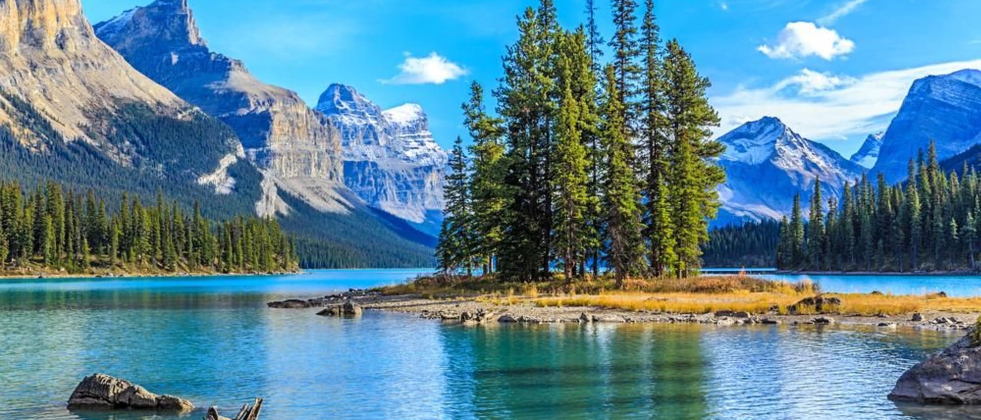 Trinity Western University