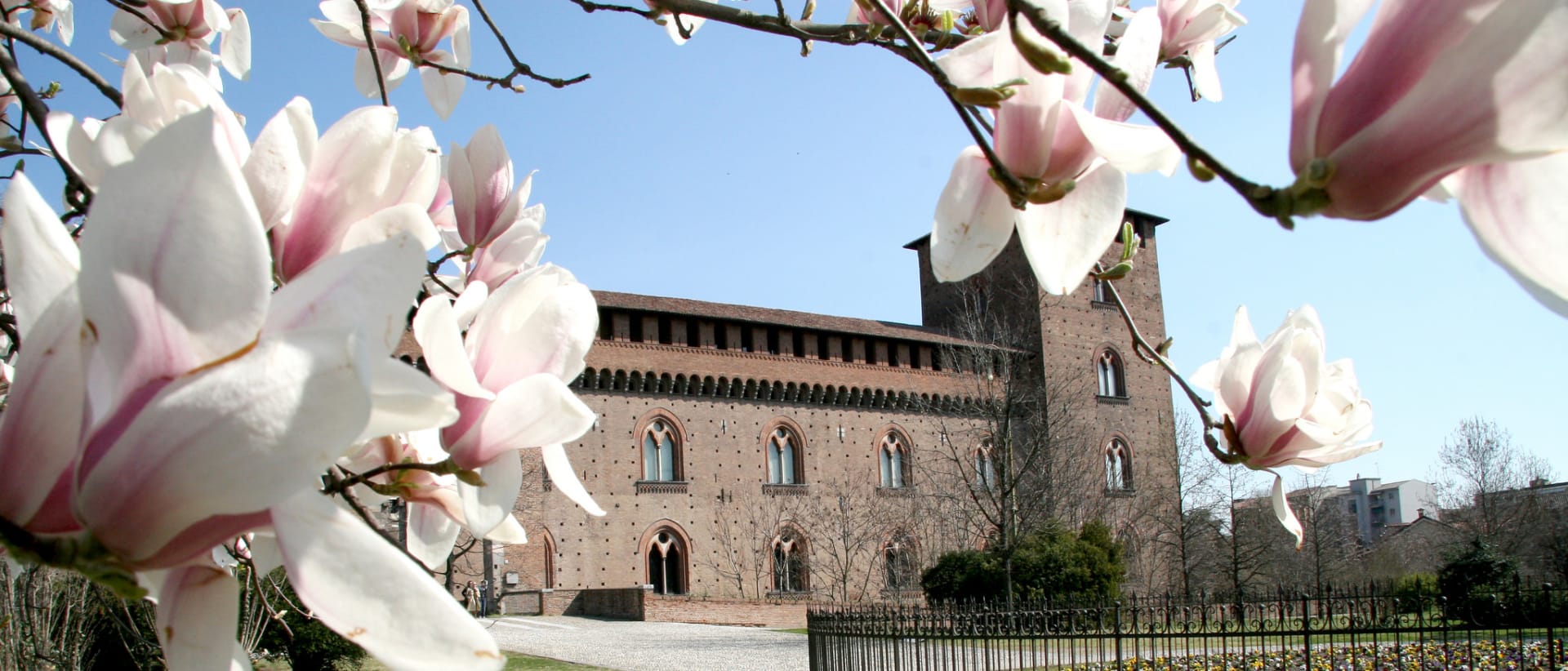 University of Pavia