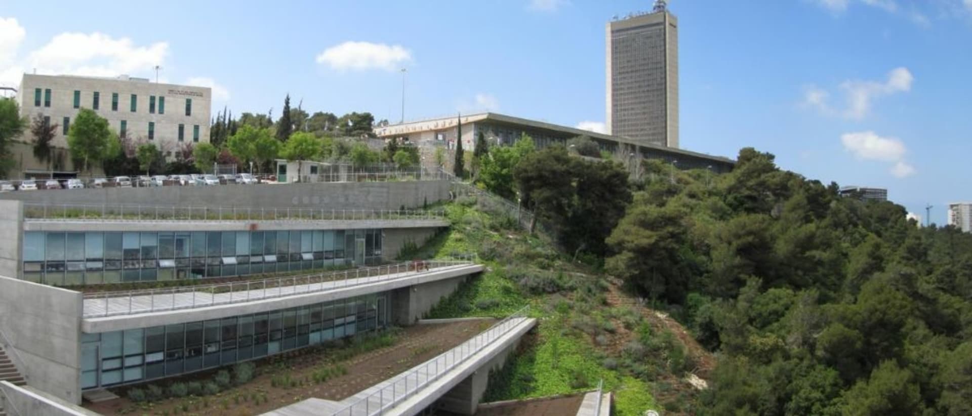 University of Haifa, International School