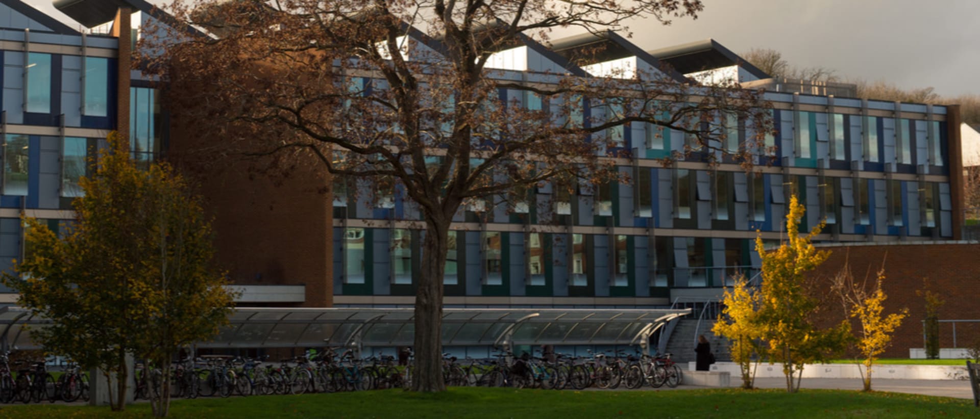 University of Sussex