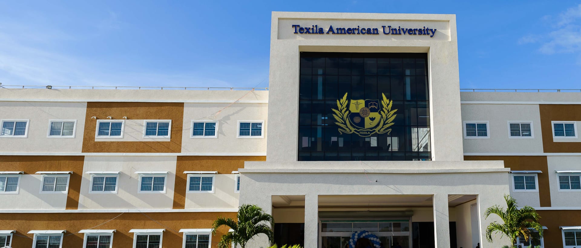 Texila American University