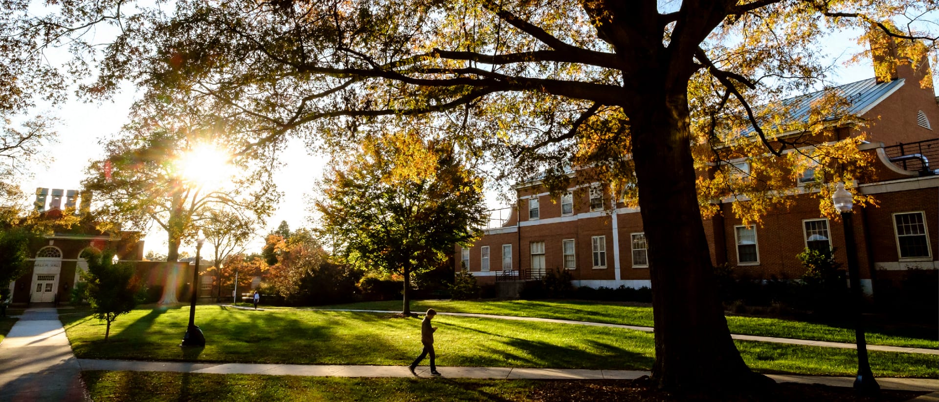 Wake Forest University