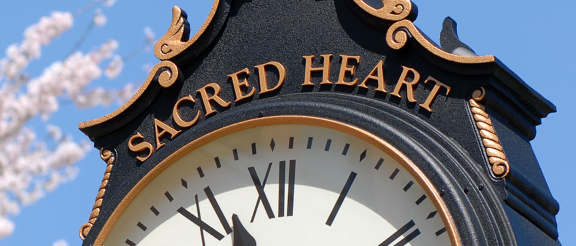 Sacred Heart University Online