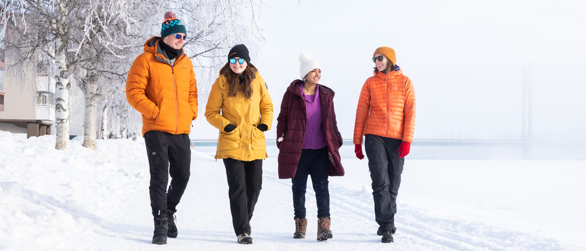 Lapland University of Applied Sciences (LAPIN AMK)