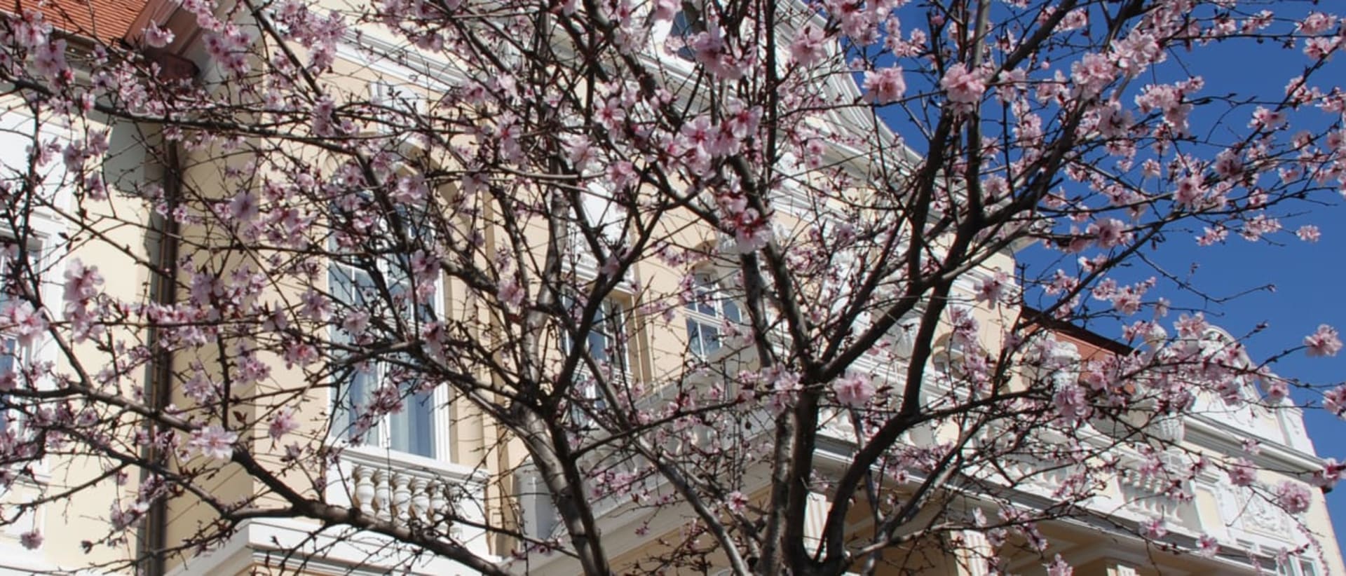 Lucian Blaga University of Sibiu