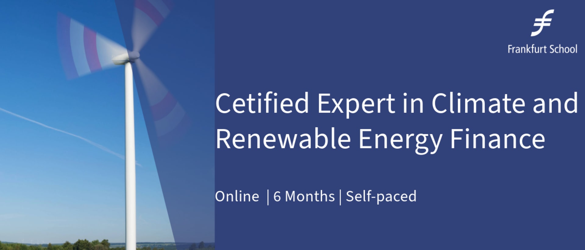 Frankfurt School of Finance & Management - Sustainable World Academy