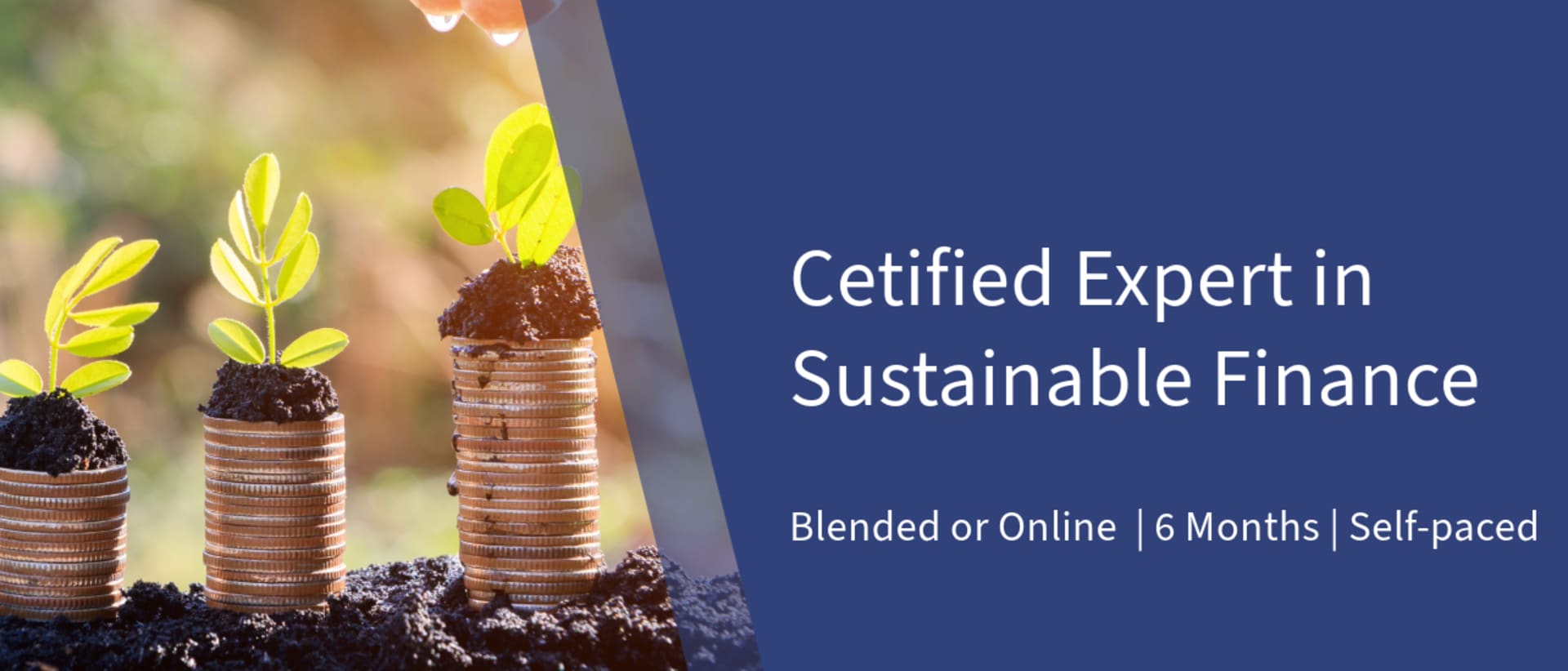 Frankfurt School of Finance & Management - Sustainable World Academy