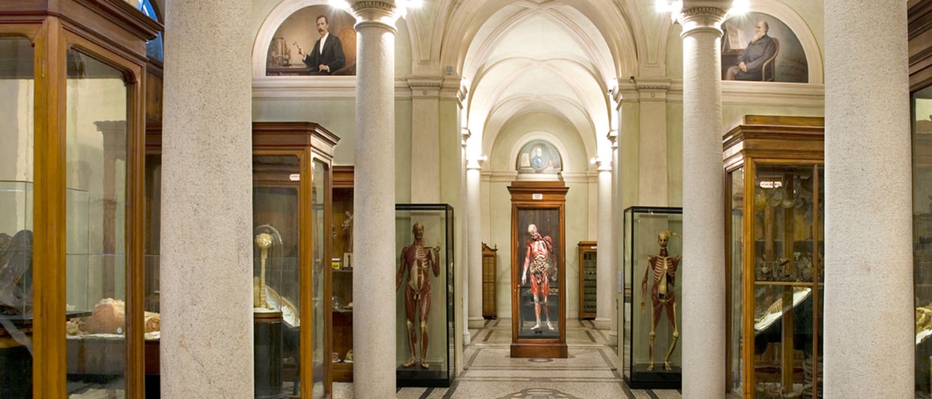 University of Torino