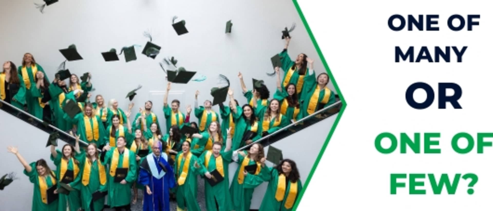 Sustainability Management School