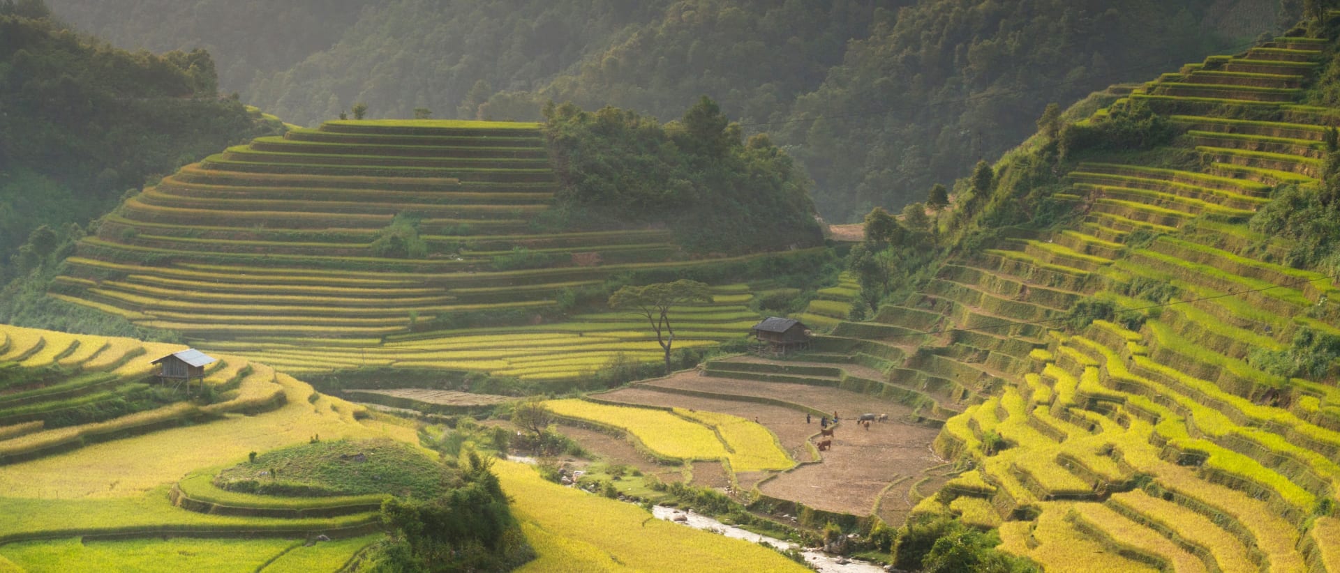 British University Vietnam