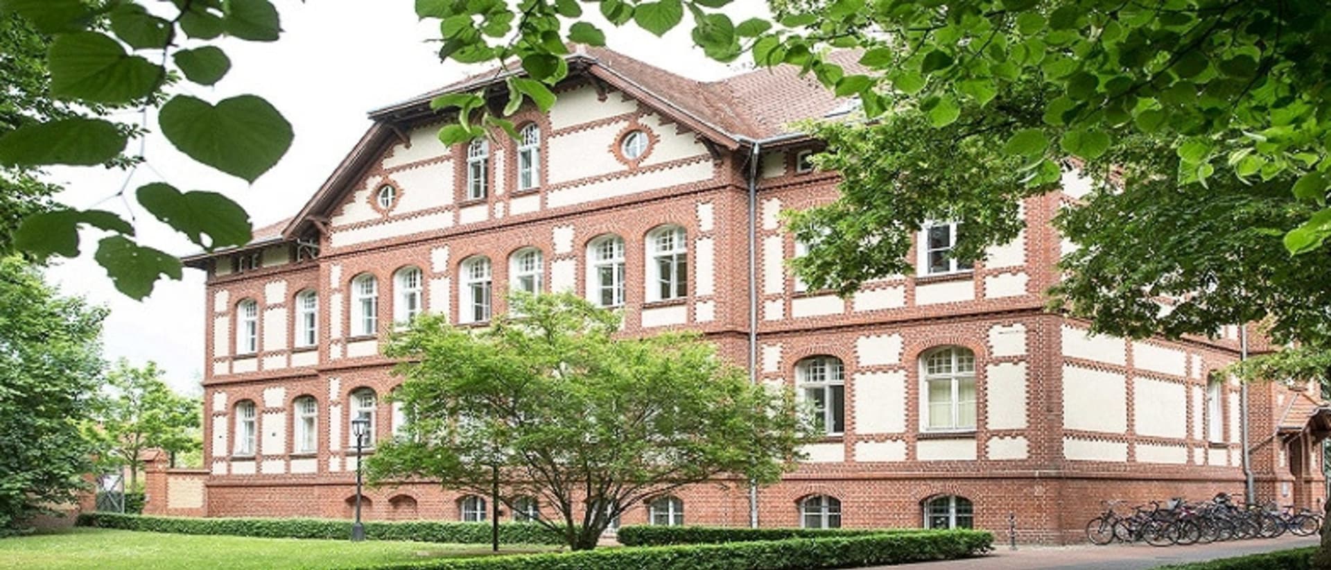 Medizinische Hochschule Brandenburg