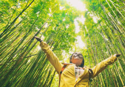 8 Top Sustainable Universities Making an Impact in the World