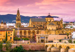Scholarships for Bachelor's Studies in Spain