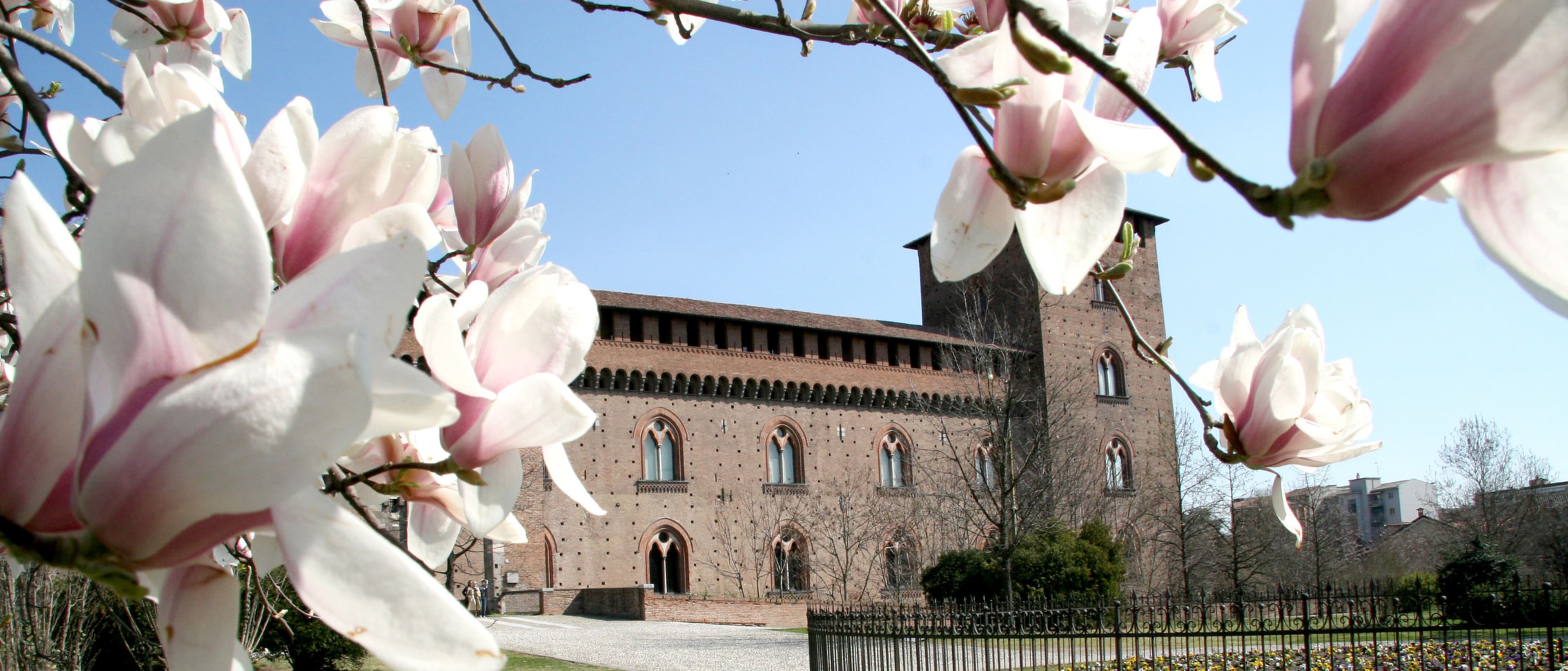 University of Pavia
