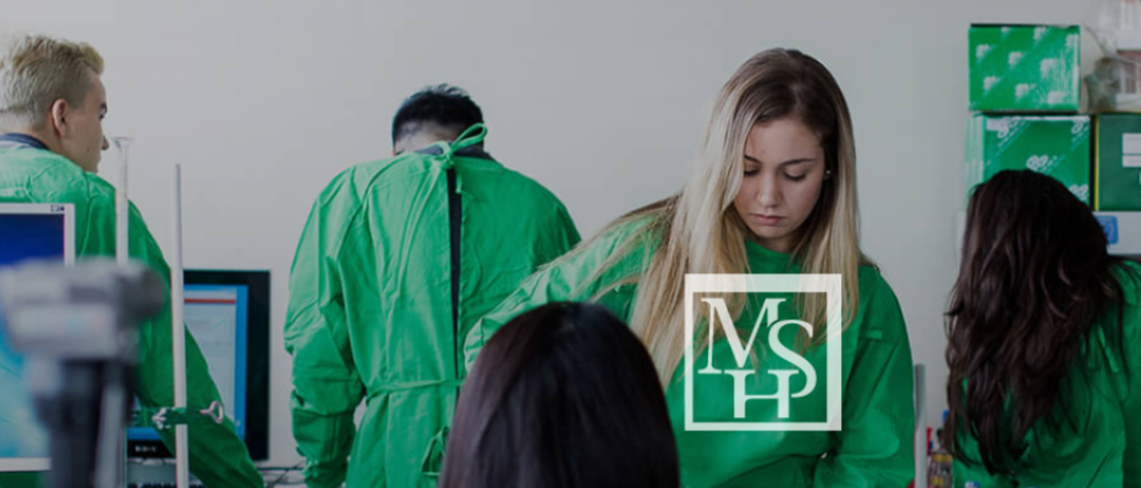 McDaniel College Budapest