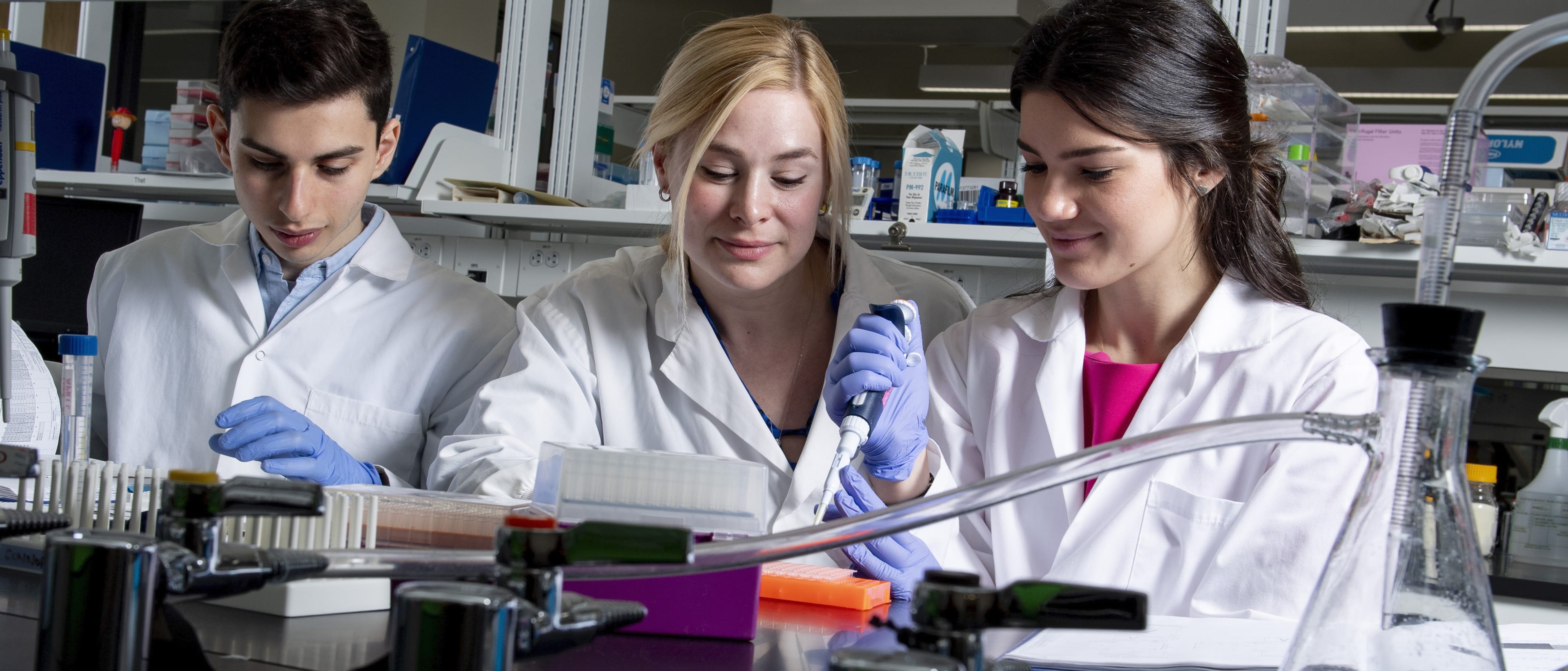 Carleton University Undergraduate