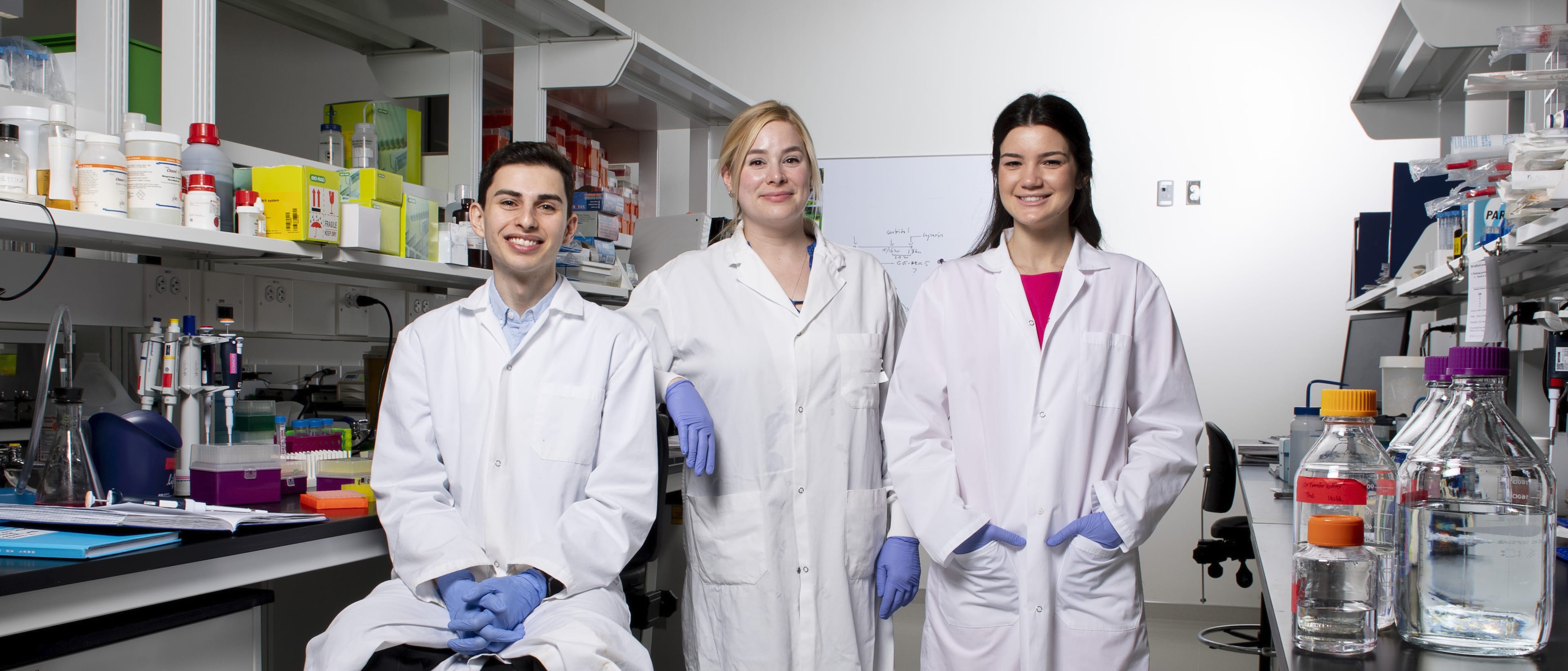 Carleton University Undergraduate