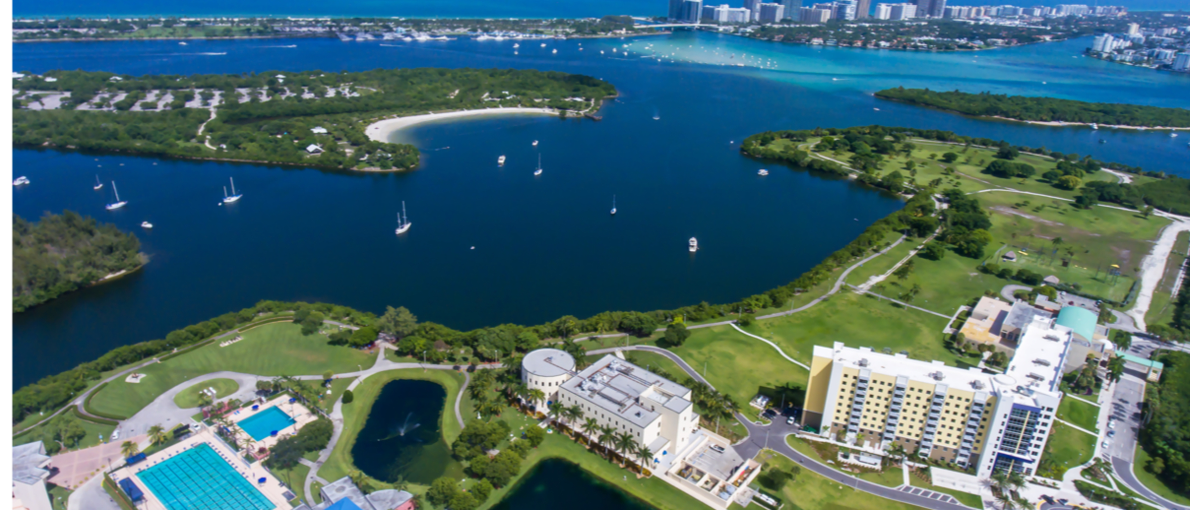 Florida International University