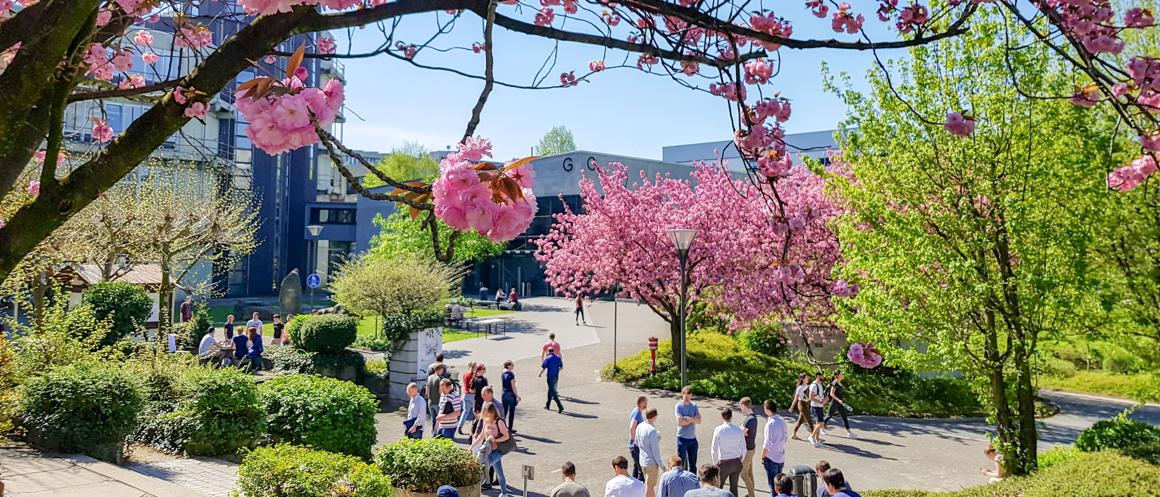 Paderborn University