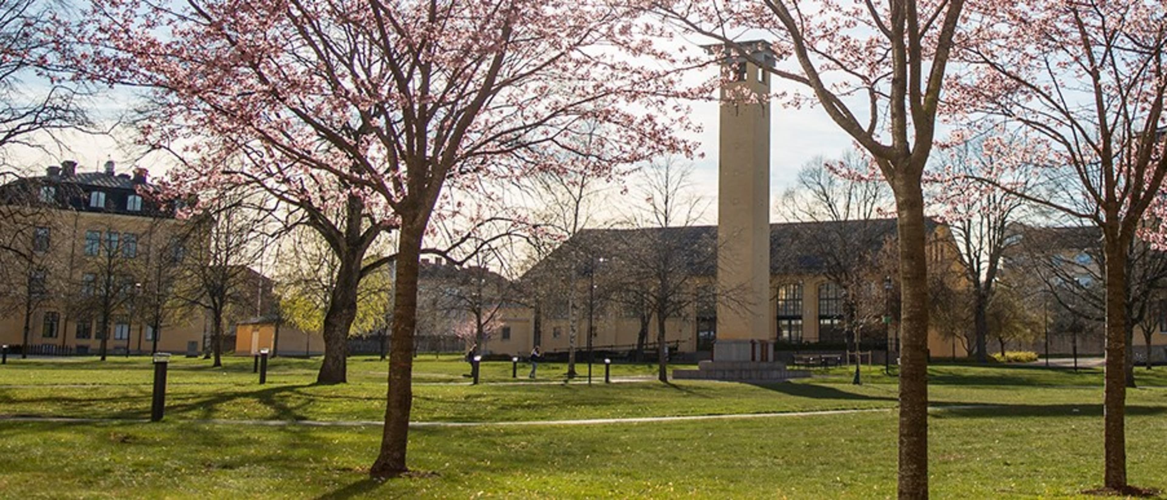 University of Skövde