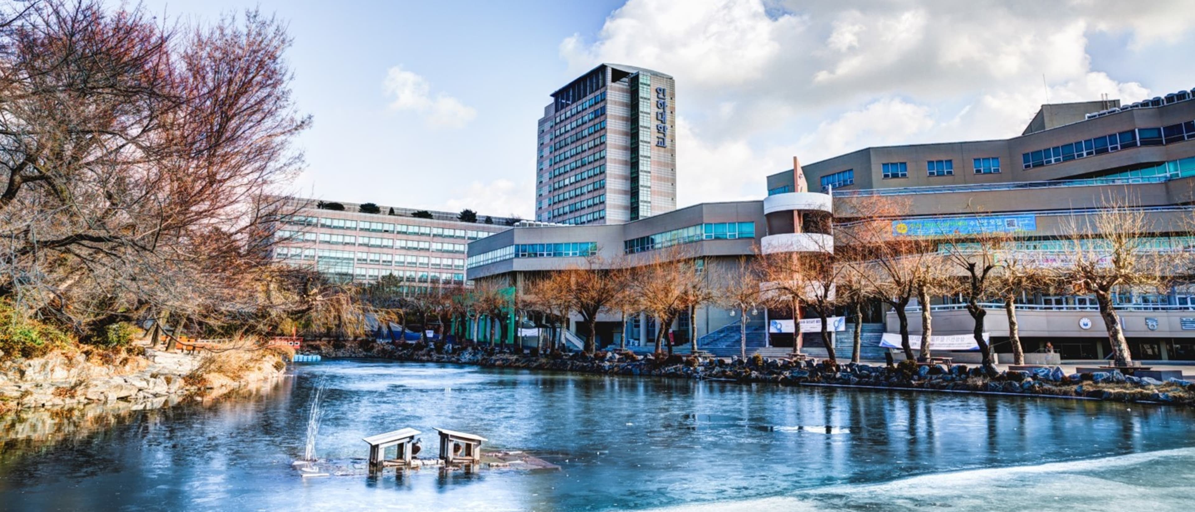 Inha University
