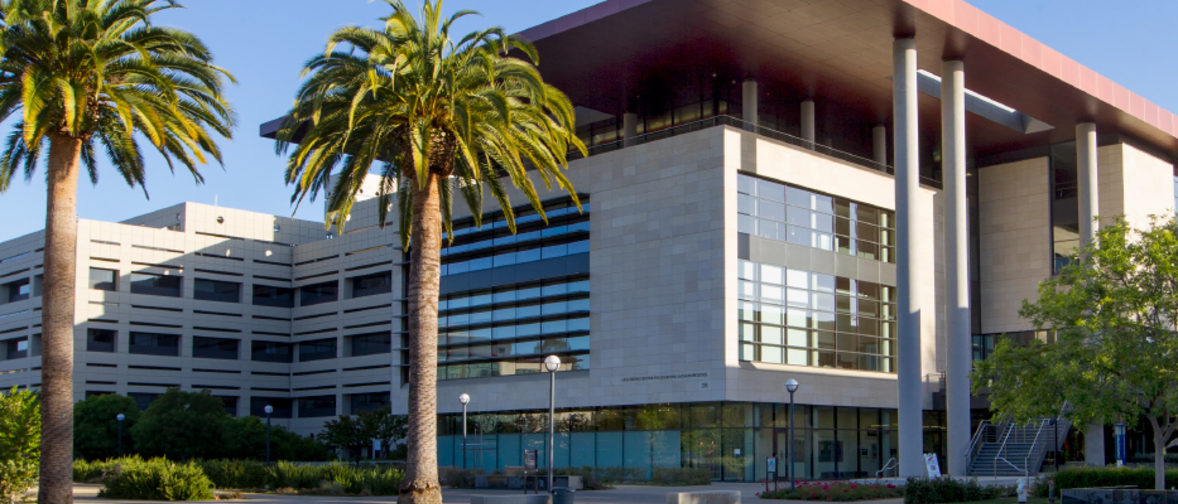 Stanford University