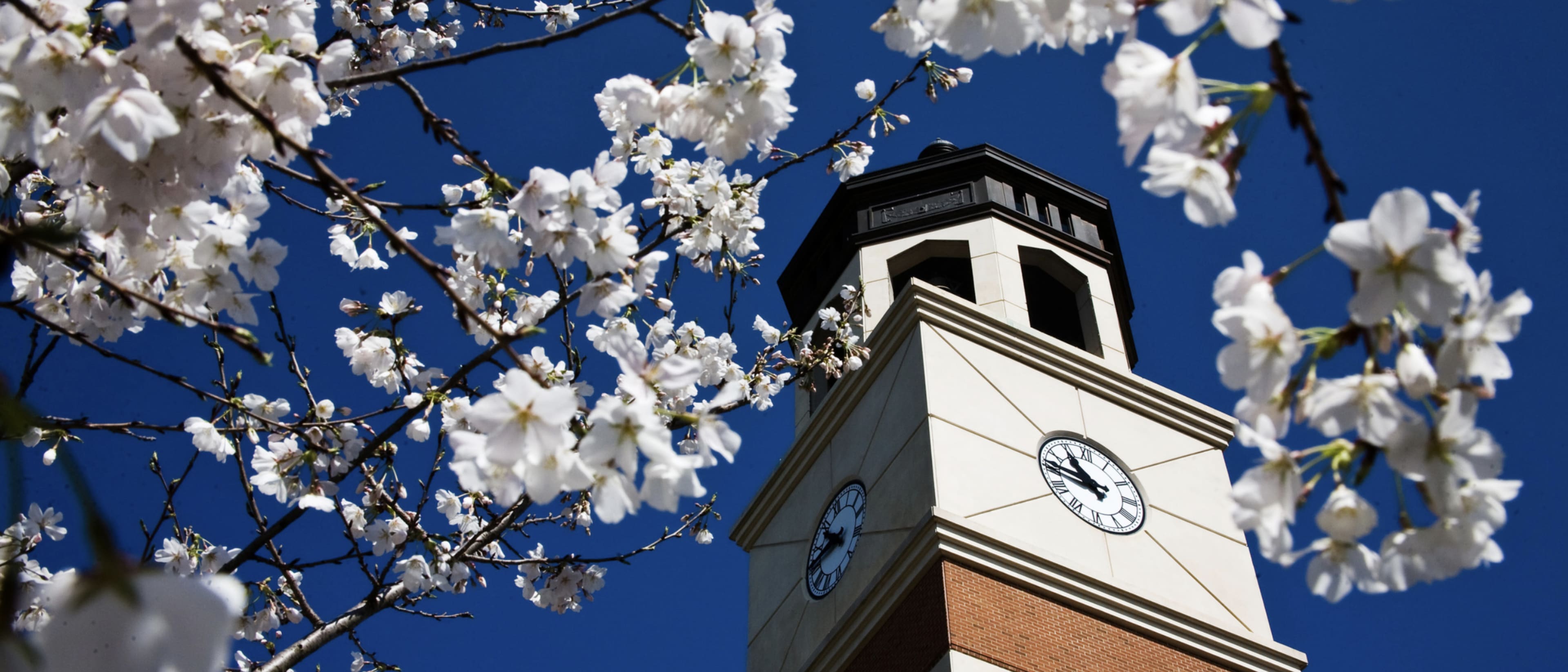 Western Kentucky University